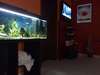 Villa Sunrise Hotel 